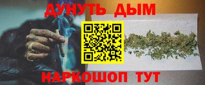 кокс Кингисепп