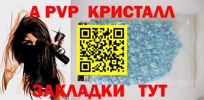 кокс Кингисепп