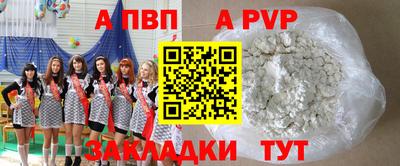 кокс Кингисепп