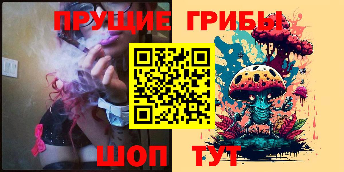 Псилоцибиновые грибы мицелий Котлас