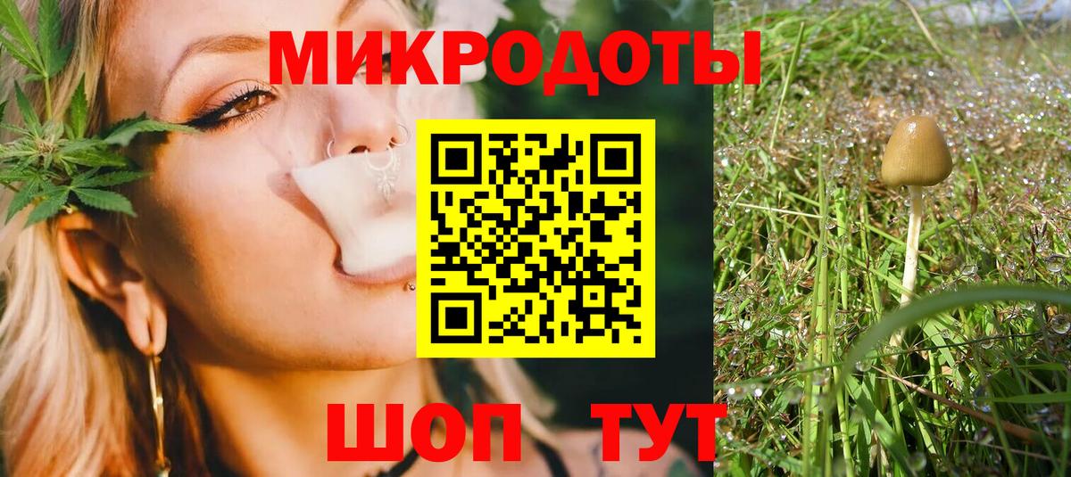 Галлюциногенные грибы мицелий  Псилоцибиновые грибы Magic Shrooms  Котлас  Вход с VPN 